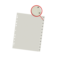 Datazone - Separador Meses A4 Archivables