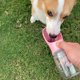 thumbnail image 2 of Botella De Agua Portátil Para Mascotas, 550 Ml, Bebedero A Prueba De Fugas, Se Maneja Con Una Sola Mano, Para Paseos Al Aire Libre, Senderismo Y Viajes Con Mascotas, 2 of 5
