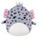 thumbnail image 1 of Pelúcia Original Squishmallows Avana, o Axolote Manchado, 30 cm, 1 of 7