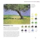thumbnail image 3 of La Biblia De La Mezcla De Colores, 3 of 6