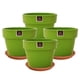 thumbnail image 1 of Set de 4 Maceta Greta 19cm Apio y sus platos, 1 of 3