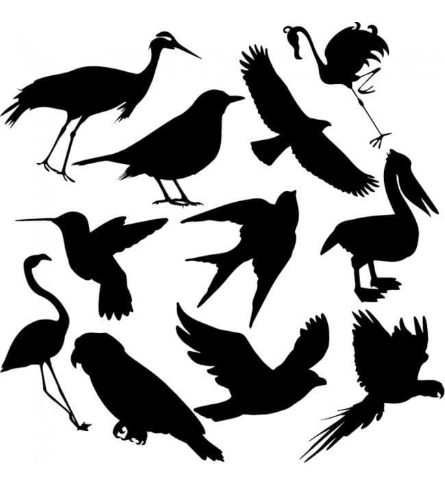 Rienda Libre Graphics - Decomural Bird Group Flamingo Parrot Set Ws-33049