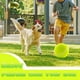 thumbnail image 3 of 24cm Gigante Pelota De Tenis Para Mascota Grande Perros Amarillo, 3 of 7