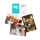 thumbnail image 3 of Juego WHAT DO YOU MEME? Family Pets Only Edition, 3 of 3