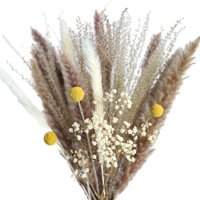 Magideal - Pampas Secas, Hierba De Caña, Flor, Cola , Ramo De Hierba, Hogar, Boda, De Jardín, Decoración Bohemia, Accesorios De Fotografía, Arreglo A