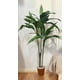 thumbnail image 3 of Árbol Dracena 120cm, 3 of 3