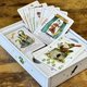 thumbnail image 3 of Juego de cartas Bezier Games Rebel Princess Deluxe Edition, 3 of 6