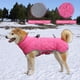 thumbnail image 3 of Abrigo de invierno - impermeable y a prueba de viento para perros pequeños a grandes - Abrigo de tiempo frío con cuello de tortuga reflectante incorporado y arnés ajustable rosa S, 3 of 3