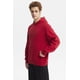 thumbnail image 2 of Polerón Hombre Hoodie Print Central Rojo, 2 of 4