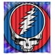 thumbnail image 1 of Cortina de ducha de Grateful Dead, juego de cortina de baño con ganchos, tamaño 66 x 72 pulgadas, 1 of 3