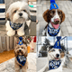 thumbnail image 5 of Artículos para fiestas de cumpleaños de perros, pañuelo para cumpleaños de perro niño y sombrero de cumpleaños de perro con número, 5 of 5