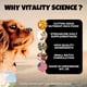 thumbnail image 4 of Suplemento para perros Vitality Science 1,8 kg Zeolite Plus, 4 of 4