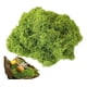 thumbnail image 1 of Musgo preservado 20g  de eco & deco, natural y decorativo para Terrarios, 1 of 2