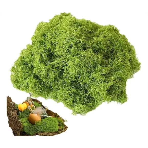 Musgo preservado 20g de eco & deco, natural y decorativo para Terrarios