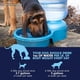 thumbnail image 5 of Cuenco de agua Petmate Big Blue Outdoor 18.9L para mascotas, 5 of 5