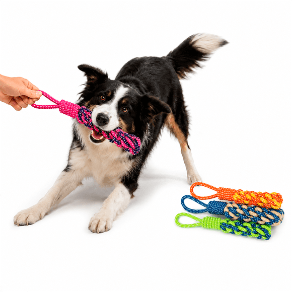 Mordedor Cuerda Perro Cachorro Resistente