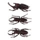 thumbnail image 1 of 3 Uds. De Figuras De Insectos De Escarabajo Surtidos Artificiales, Juguetes Para Ni?os, Coleccionables De Regalo, 1 of 6