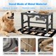 thumbnail image 5 of Juego de 2 comederos elevados SHAINFUN de 58 oz con alfombra antideslizante, 5 of 7