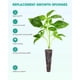 thumbnail image 3 of Paquete de 50 esponjas de cultivo para sistemas hidropónicos de cultivo interior con orificios de drenaje., 3 of 5