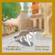 thumbnail image 1 of Libro Majosta Luna, la gata callejera de Bakú, 1 of 1