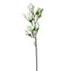 thumbnail image 1 of Magnolia Bud Stem Crema 84cm Con Acabado Natural, 1 of 3