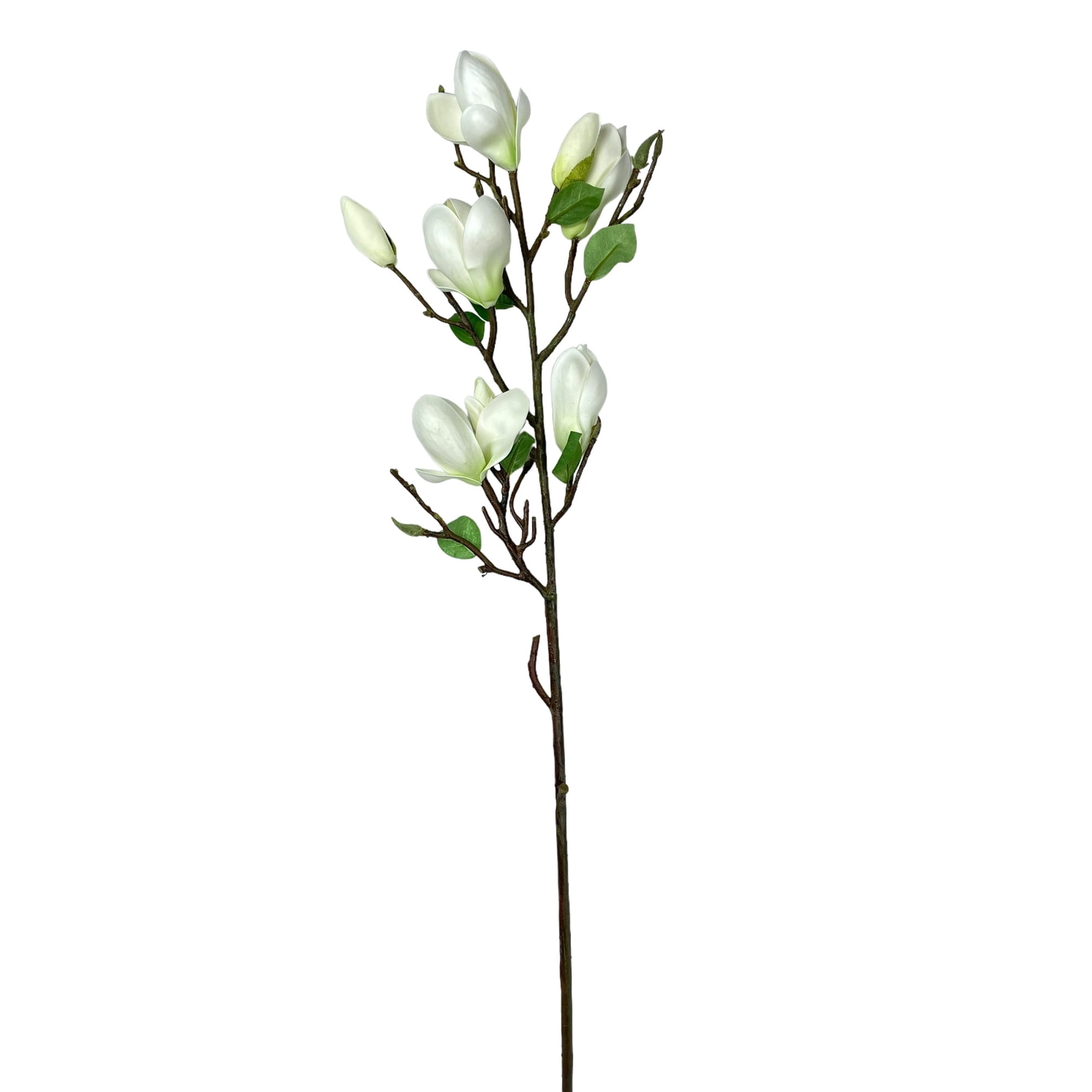 Corel - Magnolia Bud Stem Crema 84cm Con Acabado Natural