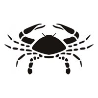 Rienda Libre Graphics - Decomural Cancer Crab Zodiac Star Sign Ws-17225
