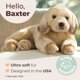 thumbnail image 2 of Peluche Golden Retriever 33 cm – Colección Bearington, 2 of 7