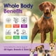 thumbnail image 3 of Suplemento multivitamínico para perros NuLife Natural 22 en 1 60 masticables, 3 of 9