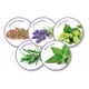 thumbnail image 3 of Collar Perro Anti Estrés - Beaphar Calming x 1 Unidad, 3 of 5