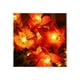 thumbnail image 2 of Cadena De Luces Solares De 30 Ledes Para Exterior Jardín Luces Abeja, 2 of 4
