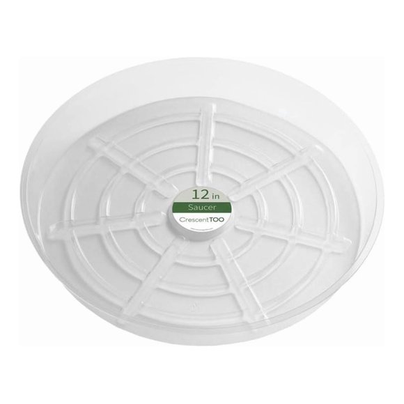 Platillo para plantas con forma de media luna, 30 cm, redondo, transparente, 5 cm de alto