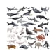 thumbnail image 4 of 30 Uds figuras de animales del océano, modelo de animales marinos, juguete educativo realista para niños de criaturas marinas, regalo de juguetes para, 4 of 5