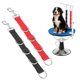 thumbnail image 1 of Uxcell Lazos de Aseo para Perros, Correa de Restricción Ajustable de Nylon para Brazo de Mesa con 4 Anillos en D Blancos (Negro/Rojo, 2 Piezas), Destinado para Baños Fijos y Corte de Pelo de Perros, 1 of 7