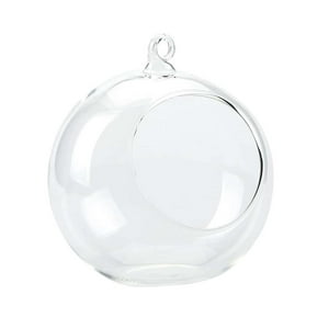 Homeessentials - Pecera Colgante De Vidrio