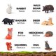 thumbnail image 4 of Figuras de animales del bosque Jumbo de Toy Learning Minds de 1 a 3 años, 4 of 9