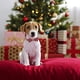 thumbnail image 5 of Collar navideño con lazo para perro, collar navideño con lazo para perros pequeños, medianos y grandes., 5 of 5