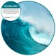thumbnail image 2 of Ambientador Fresh Products Eco Bowl Clip Ocean Mist, paquete de 12, 2 of 6