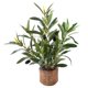 thumbnail image 1 of Planta artificial Ewtogift de olivo de 30 cm con maceta rústica, 1 of 9