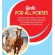 thumbnail image 3 of Jeringa desparasitante para caballos Pet Pharma Ivermectina Pasta 1.87%, 3 of 8