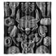 thumbnail image 1 of Cortina de ducha con diseño de conchas marinas, con ganchos, 167 x 183 cm, 1 of 3
