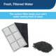 thumbnail image 3 of Filtros de carbón de repuesto para fuente PetSafe Drinkwell Premium para mascotas, paquete de 12, 3 of 7