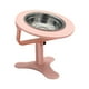 thumbnail image 5 of Cuencos elevados para gatos, bandeja de alimentación elevada para mascotas, cuenco de comida para gatos inclinado, cuenco de alimentación para mascota, 5 of 5