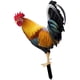 thumbnail image 2 of Estacas De Estatua De Animales De Pollo Acrílico Realista Para Decoración De Patio Estilo B, 2 of 5