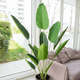 thumbnail image 3 of Planta ave del paraíso artificial 180 cm, 3 of 3