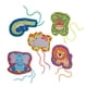 thumbnail image 2 of Tarjetas con cordones Serabeena Safari Kids de 3 a 5 años con 5 animales, 2 of 9