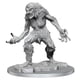 thumbnail image 1 of Figura miniatura WizKids Dungeons & Dragons Ice Troll femenina, 1 of 5