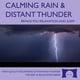 thumbnail image 1 of CD The Rhythm Tree Lluvia y Trueno – 60 min Relajación, 1 of 9