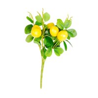 Magideal - Rama De Limón Artificial, Realista, Vívida Y Elegante, Decoración De Tallo De Vegetación Artificial Para Mesa De Cocina, Jarrón, Adorno De Boda Y Pati Estilo C