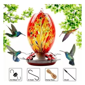 D&M - Bebedero Y Comedero De Vidrio Para Colibrís